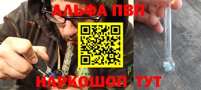 прущие крисы Кингисепп