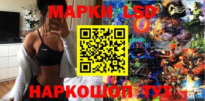 прущие крисы Кингисепп