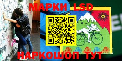 прущие крисы Кингисепп
