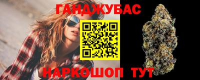 прущие крисы Кингисепп
