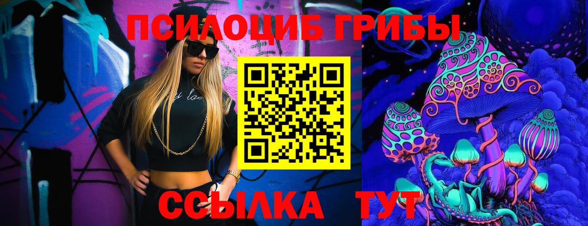 Псилоцибиновые грибы Cubensis Кропоткин